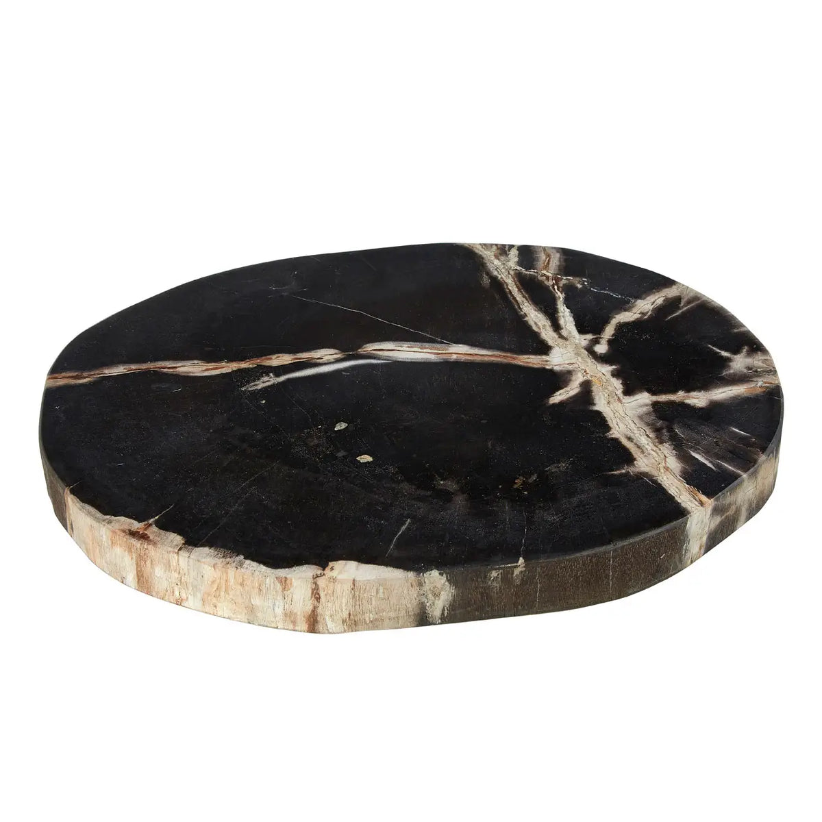 Petrified Wood Platter