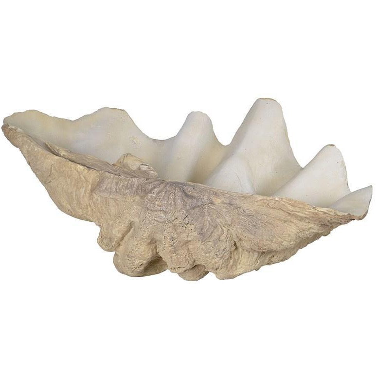 Faux Clam Shell - Barnbury