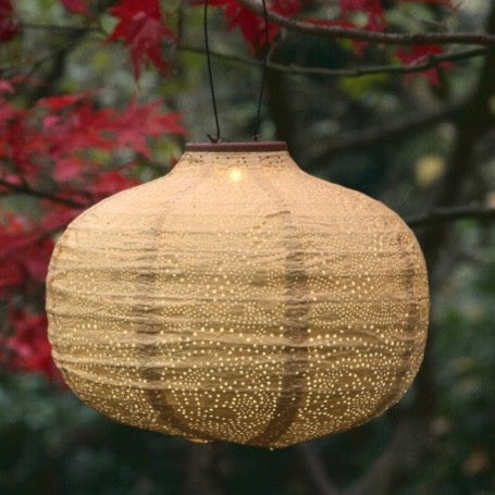 Daffodil Yellow Solar Lantern - Barnbury