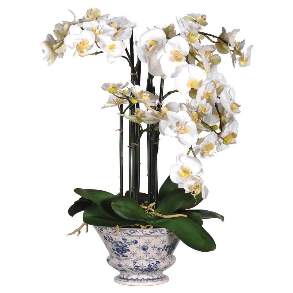 Faux Phalaenopsis Orchid in Ceramic Blue and White Footed Planter Faux Flowers and Plants Barnbury 