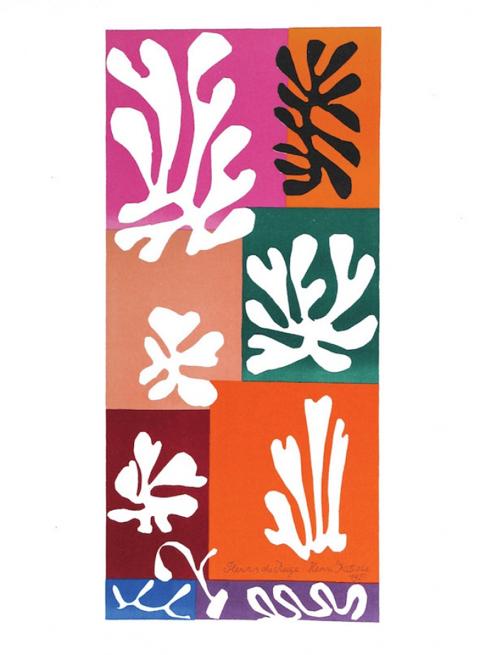 Henri Matisse - Fleurs de Neige Lithograph Barnbury 