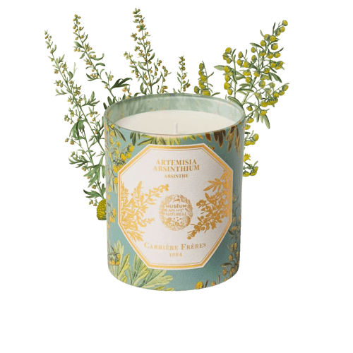 Carrière Frères Absinthe Scented Candle - Barnbury