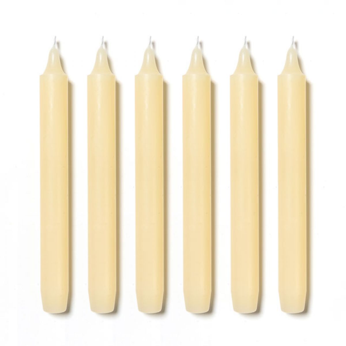 6 Trudon Ivory Madeleine Candles Candles Cire Trudon 